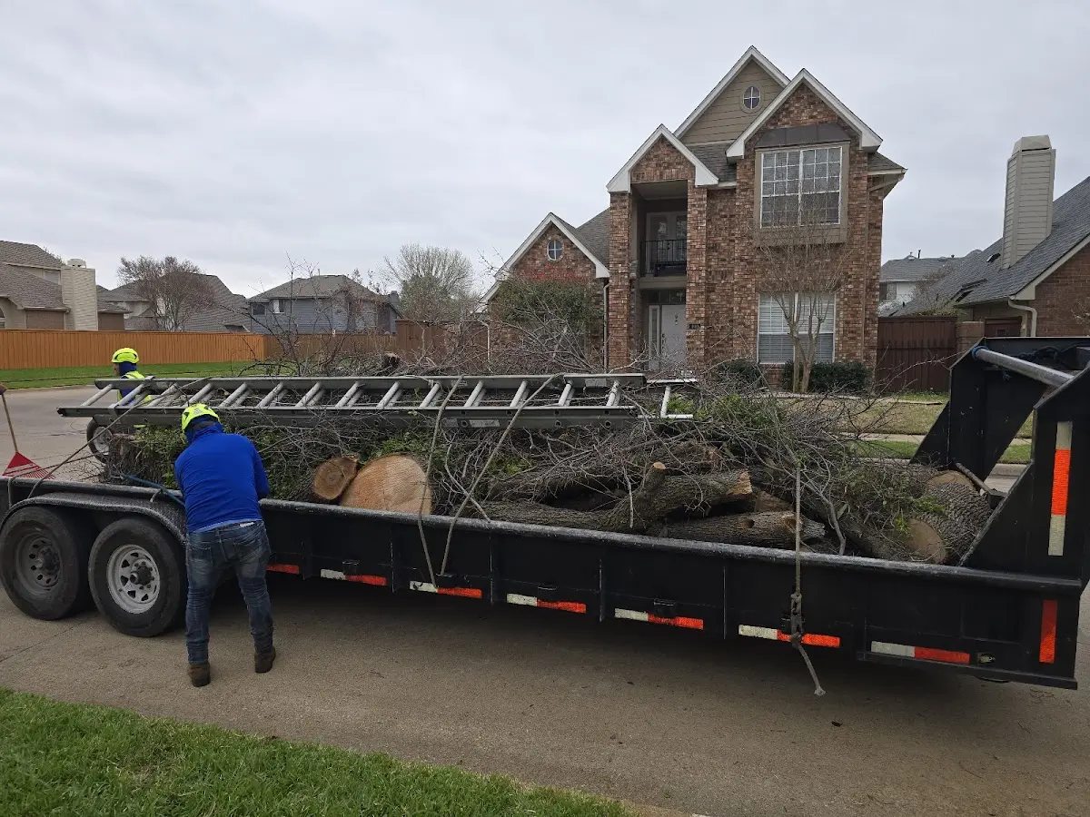 Expert Tree Removal with proper safety equipment in Summerfield
